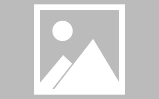 菏泽搭建网站招聘信息（网站制作 招聘）